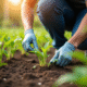 Personne appliquant un herbicide naturel dans un jardin
